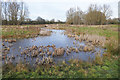 SU9960 : Heather Farm Wetland Centre by Alan Hunt