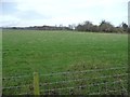 Farmland on the west side of Lodge Lane