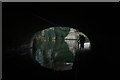 View of bushes reflected in the Regents Canal from beneath the Camden Road bridge