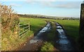 Track near St Cleer