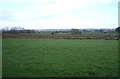 Grassland north of Ratten Row