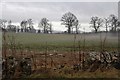 Field with broken dyke by the A926