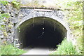 SK1772 : Cressbrook Tunnel, eastern portal by N Chadwick
