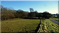 Pastoral scene near Ponde