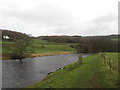 The River Wharfe and the Dales Way