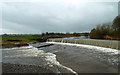 Weirs On The River Caldew