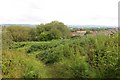 Path, Gleniffer Braes