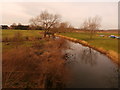 The River Idle near Mattersey