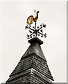 The Cock of St Cross