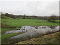 Sodden field near Burrs