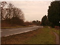 A631 Road near Holly House Farm