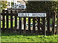 Sibley Avenue sign