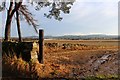 Arable land at Ballinshoe