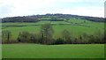 The Green fields of Monmouthshire