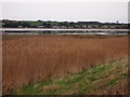 Edge of the Salt Marsh, Malltraeth