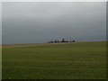 Arable land, Muirside of Aldbar