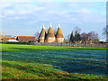 View from Green Lane of an oast in Hunton Road Marden