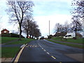 Bus stop on Newton Lane