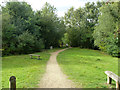 Path, Kennington Park