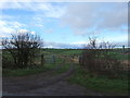 Farm track (footpath) to Primrose Farm