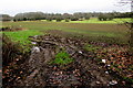 ST4790 : Muddy field entrance, Caerwent by Jaggery