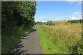 Railway trackbed, Kilbirnie