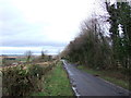 Lane towards Todd Fall Farm