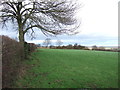 Farmland and hedgerow off Stony Bank