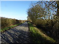 Country lane near Minety