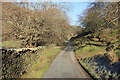 Lane at Dolfawr