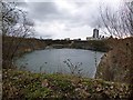 New Bilton-Flooded Quarry