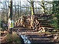 Timber stack, Stanley Common