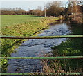 Hall Farm, Sookholme, Notts.