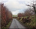 Towards North Heasley Cross