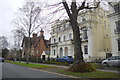 Georgian Houses Wellington Square