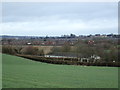 Farmland at Comeytrowe