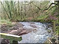 Stream flowing towards Afon Hydfer