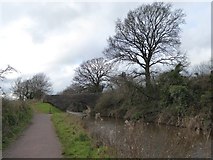 ST0013 : Canal cutting east of Sellake Bridge by David Smith