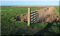 Channel, Cley Marshes