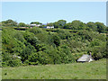 Pasture and woodland near Philham, Devon