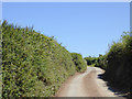 Lane north of Philham in Devon