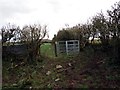 Llwybr ger Ffarm Pant Teg / Path near Pant Teg Farm