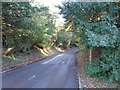 Tilsden Lane, near Cranbrook