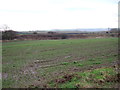 Farmland towards the Hull to Scarborough Railway