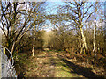 Course of old railway, Bordon