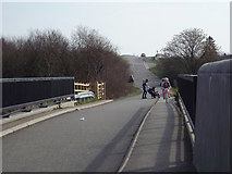 SK0407 : Bridges at the southeast corner of Chasewater country park by Robin Stott