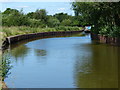 Trent & Mersey Canal near Elworth