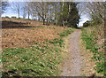 Path to Hill Hole Quarry