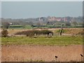 Long zoom shot through the haze of Layer Marney Tower