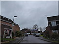 Looking from Stoneham Park towards Stoneham Close